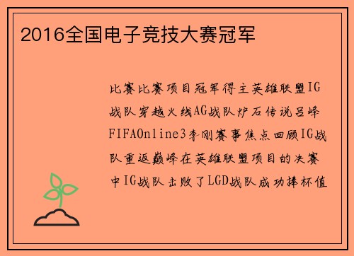 2016全国电子竞技大赛冠军